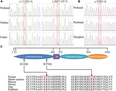 Novel Loss-of-Function Mutations in NPR2 Cause Acromesomelic Dysplasia, Maroteaux Type